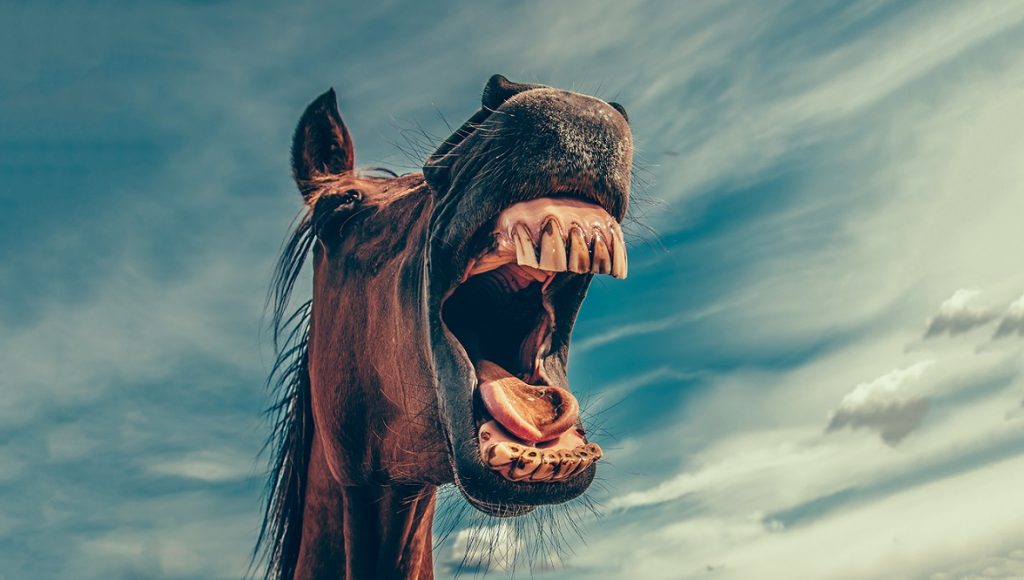 eXtreme Go Horse Process (XGH)
